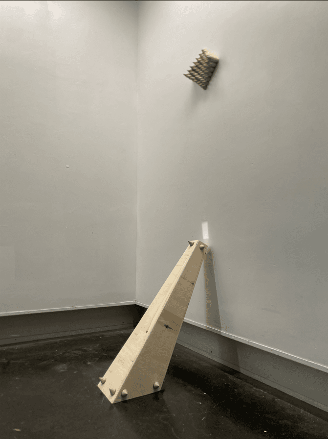 Conceived and Unraveled